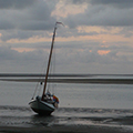 schiff